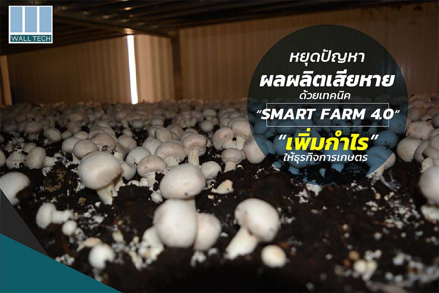 หยุดปัญหาผลผลิตเสียหายด้วย เทคนิค smart farm 4.0 เพิ่มรายได้ให้ “เกษตรกร”