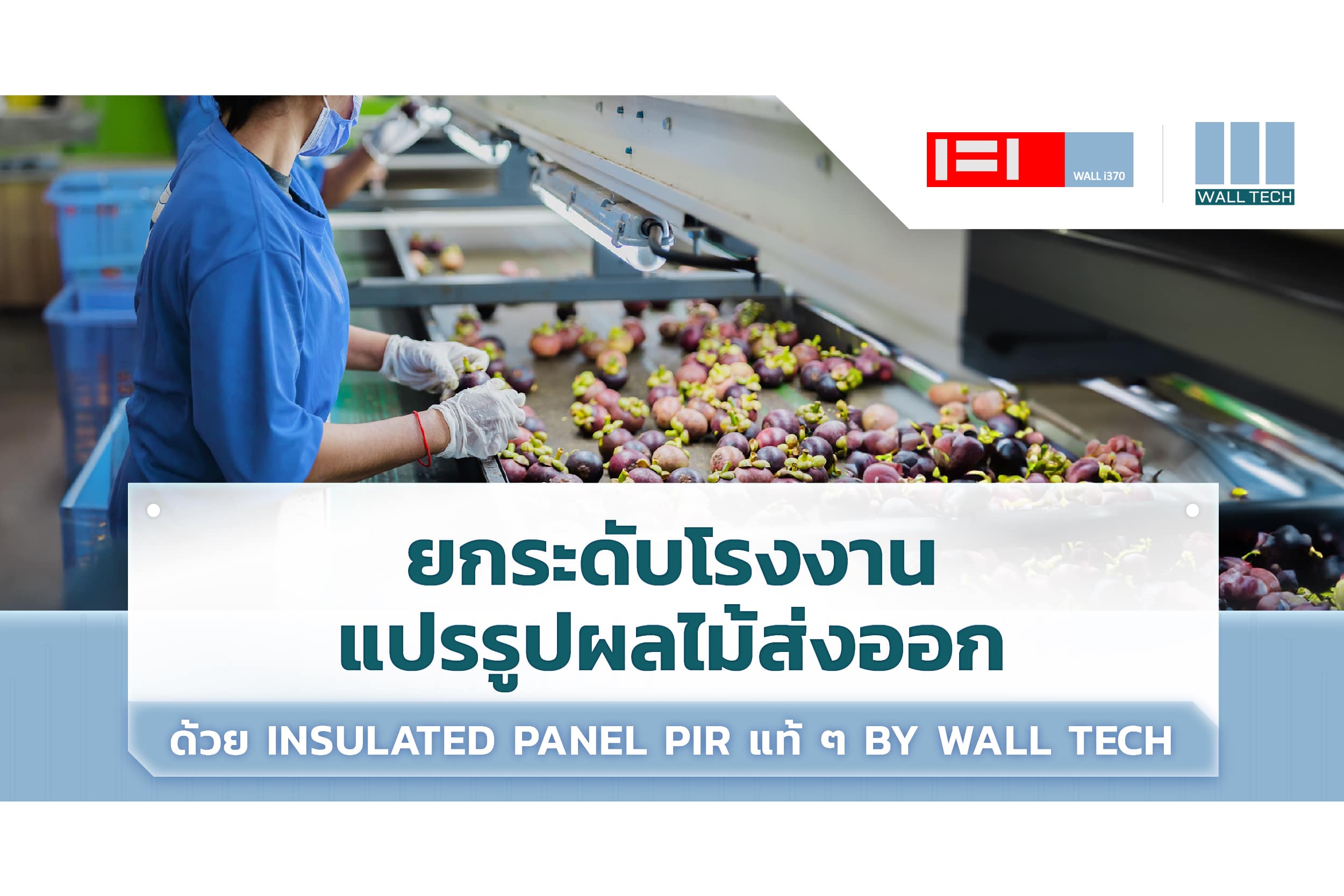 ยกระดับโรงงานแปรรูปผลไม้ส่งออกด้วย Insulated Panel by Wall Tech|||ไลน์ผลิตอาหาร|Insulated Panel|โรงงานผลิต Insulated Panel