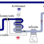 วงจรพื้นฐานระบบทำความเย็นแบบ Indirect Contact|พื้นฐานระบบทำความเย็นแบบ Direct Contact|ตารางความร้อนจำเพาะและความร้อนแฝงของผลไม้ ผัก เนื้อสัตว์และอาหาร|ตารางความร้อนจำเพาะและความร้อนแฝงของผลไม้ ผัก เนื้อสัตว์และอาหาร|ตารางความร้อนจำเพาะและความร้อนแฝงของผลไม้ ผัก เนื้อสัตว์และอาหาร