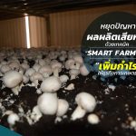 หยุดปัญหาผลผลิตเสียหายด้วย เทคนิค smart farm 4.0 เพิ่มรายได้ให้ “เกษตรกร”|Smart Farm อาคารสะอาด ปลอดโรค ปลอดเชื้อ|ความชื้น! ตัวการร้ายทำลายผลผลิต ใบจุดขึ้นรา ผลผลิตเสียหายมากกว่าที่คิด ผู้ประกอบการจึงพยายามหาทุกเทคโนโลยี เพื่อควบคุมความชื้นให้ได้มากที่สุด|ร้อนไป! ผลผลิตก็ต่ำ แถมยังเสียต้นทุนแพงซ้ำ! ธุรกิจใครจะทนไหว