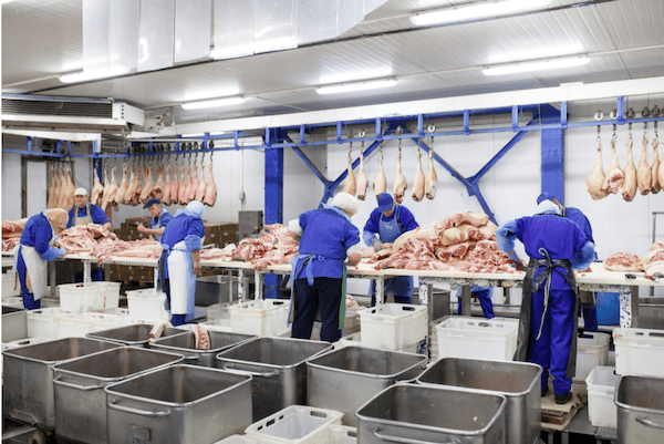 food processing factory|The Team