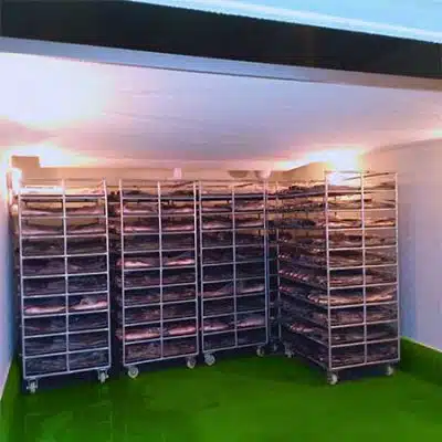 Balst Freezer Room