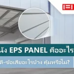 EPS Panel